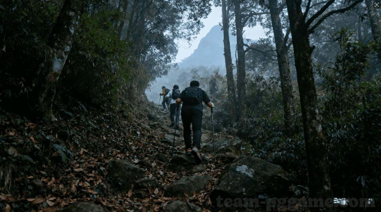 一定牛彩票最新版下载-最新资讯一定牛彩票官方最新版下载指南，安全、便捷的新体验